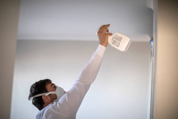 Best Basement Mold Remediation in Collinsville, OK