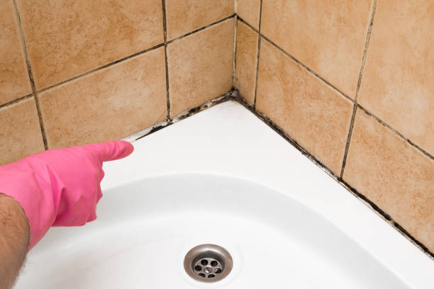 Best Residential Mold Remediation in Collinsville, OK